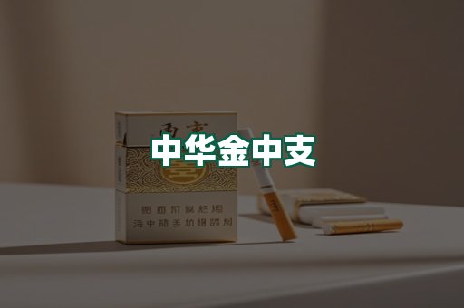 中华金中支